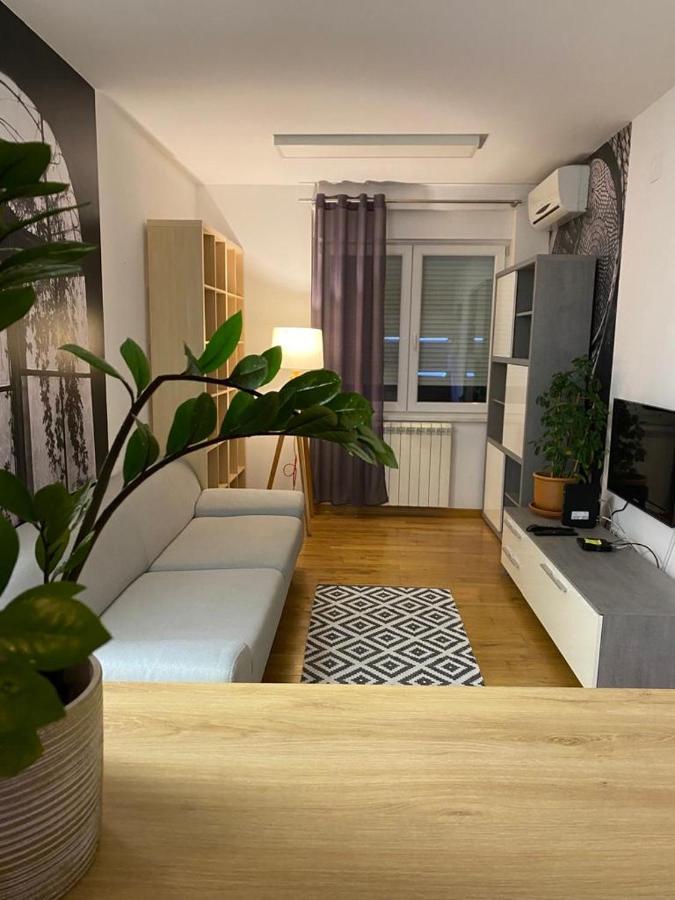 Benvenuti Apartments 베오그라드 외부 사진