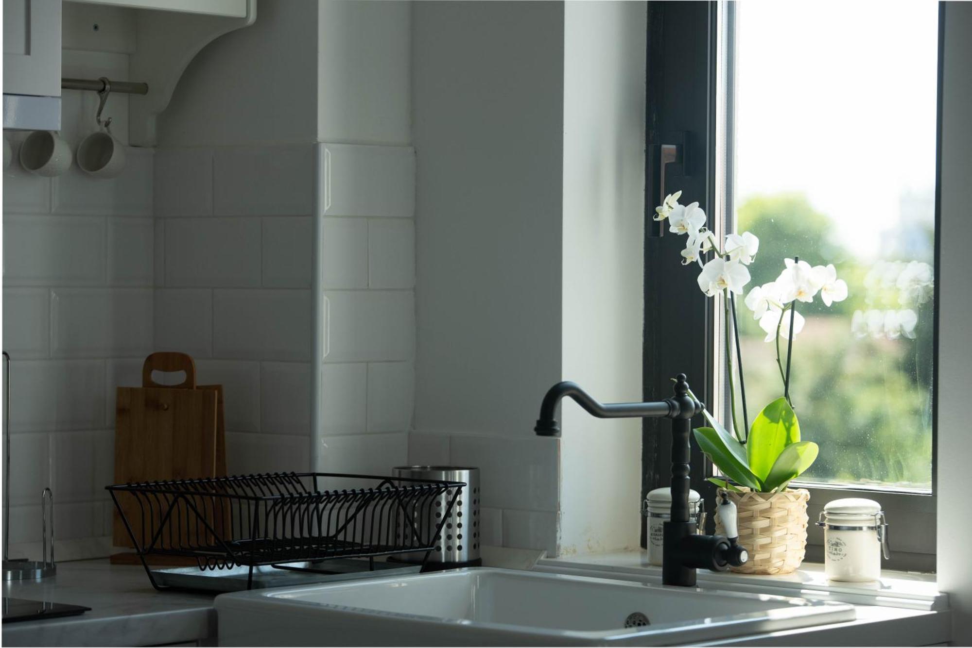 Benvenuti Apartments 베오그라드 외부 사진